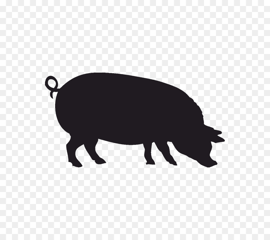 Wild boar Silhouette Stencil Clip art - Silhouette png download - 800*800 - Free Transparent Wild Boar png Download.