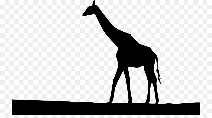 Silhouette West African giraffe Royalty-free Clip art - Silhouette png download - 800*488 - Free Transparent Silhouette png Download.