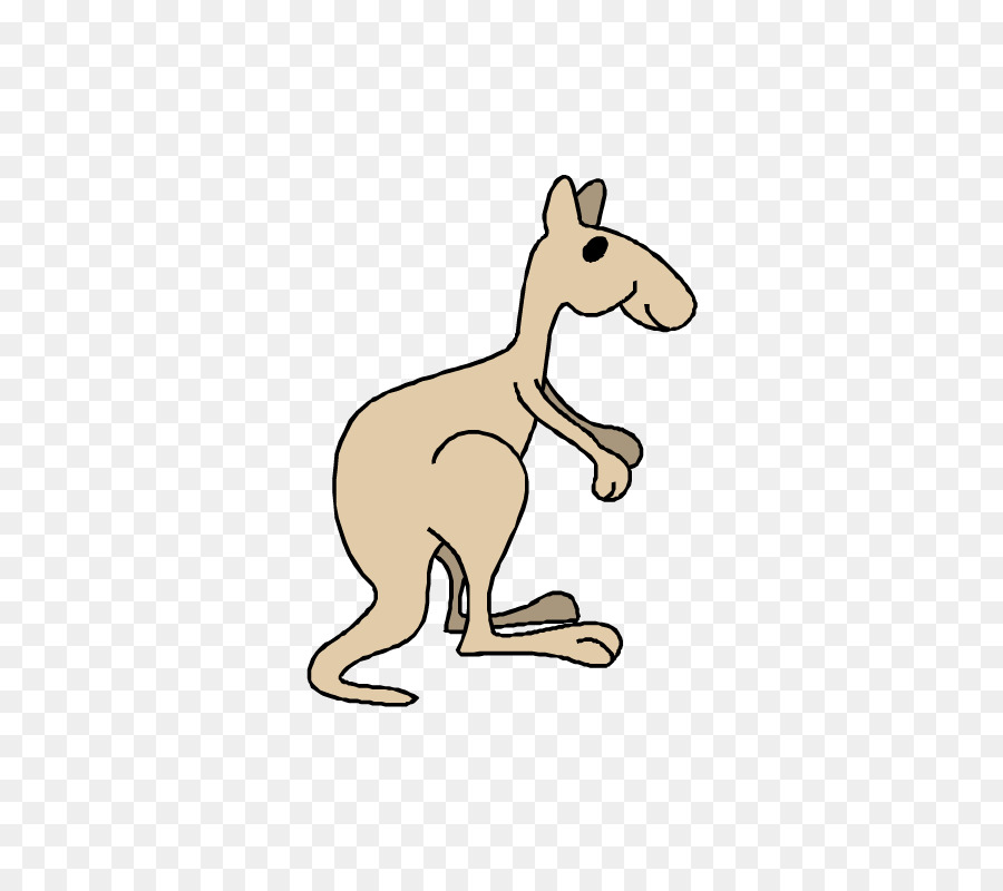 Kangaroo Cartoon - Cartoon kangaroo png download - 612*792 - Free Transparent Kangaroo png Download.