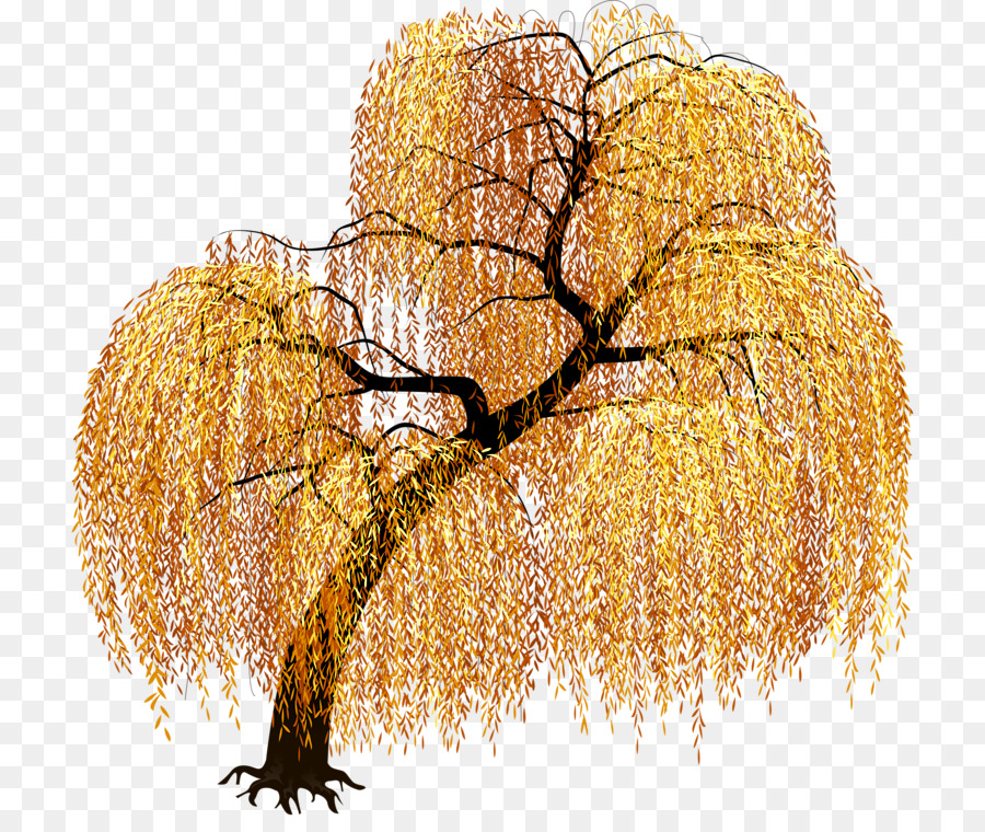 Weeping willow Tree Image Graphics Clip art - tree png download - 770*745 - Free Transparent Weeping Willow png Download.