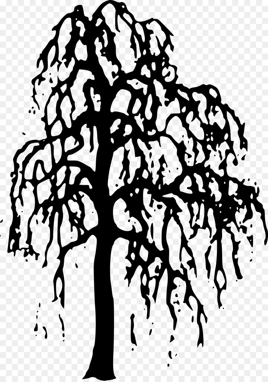 Willow Tree Clip art - willow trees png download - 1693*2400 - Free Transparent  png Download.