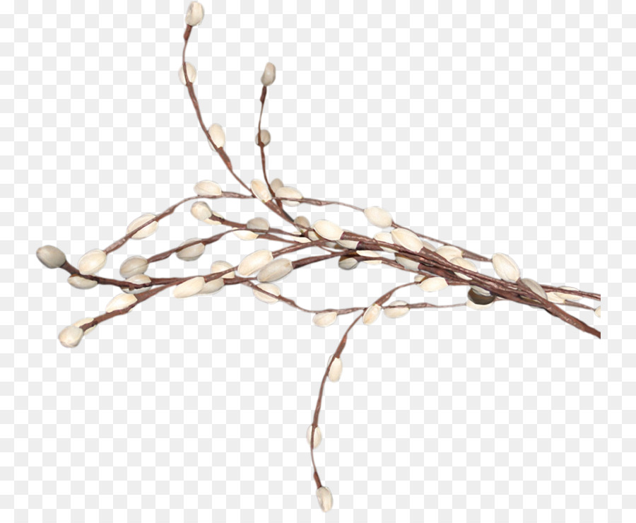 Digital image Weeping willow Tree Clip art - willow tree png download - 800*727 - Free Transparent Digital Image png Download.