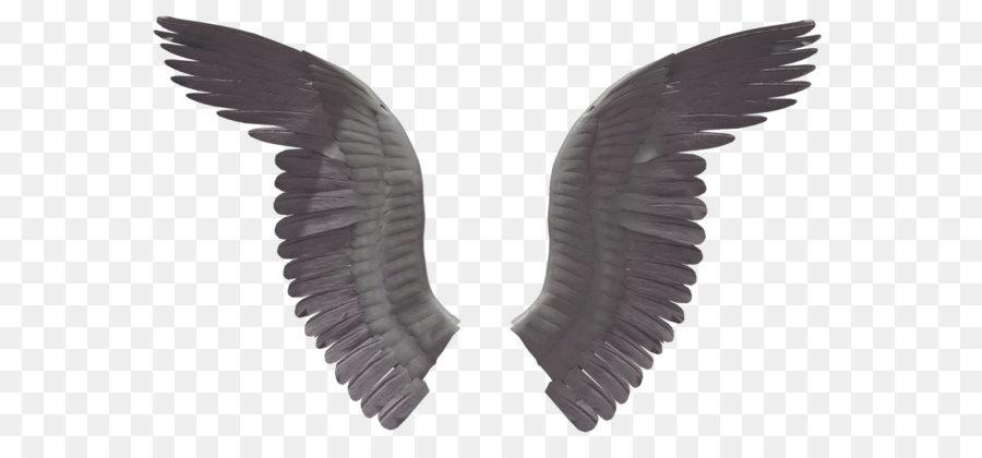 Wing Clip art - Wings PNG png download - 1024*639 - Free Transparent Car png Download.