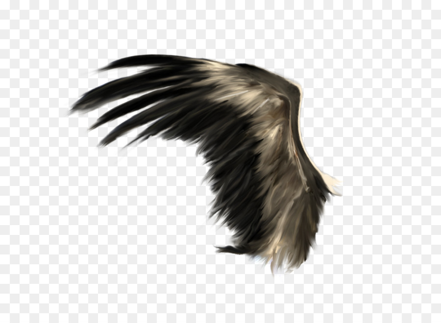 Wing Clip art - Wings PNG png download - 900*900 - Free Transparent Computer Icons png Download.