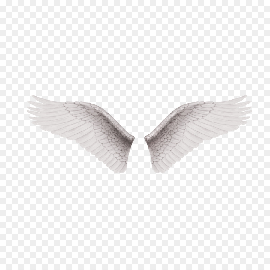 Black and white Wing Clip art - Vector wings png download - 3000*3000 - Free Transparent White png Download.