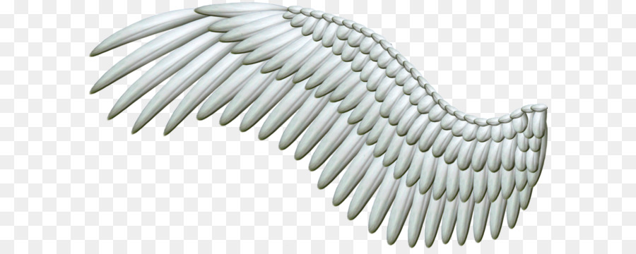 Angel wing Clip art - Wings PNG png download - 1024*554 - Free Transparent Buffalo Wing png Download.
