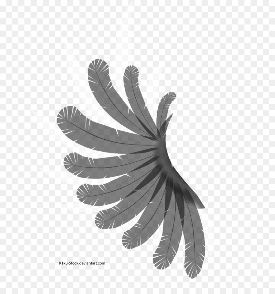 Wing Black and white Feather Bird - white wings png download - 900*960 - Free Transparent Wing png Download.