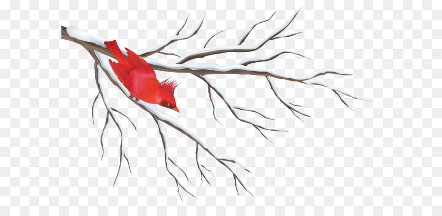 Branch Winter Clip art - Winter Branch with Bird PNG Clipart Image png download - 5000*3294 - Free Transparent  png Download.