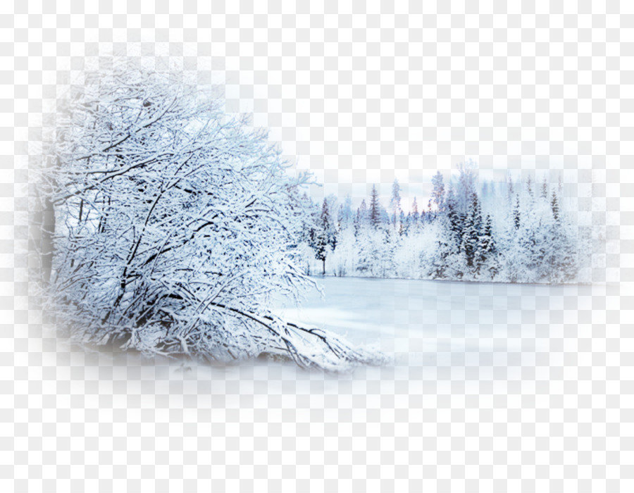 Snow Winter Blizzard Desktop Wallpaper Landscape - snow png download - 980*753 - Free Transparent Snow png Download.