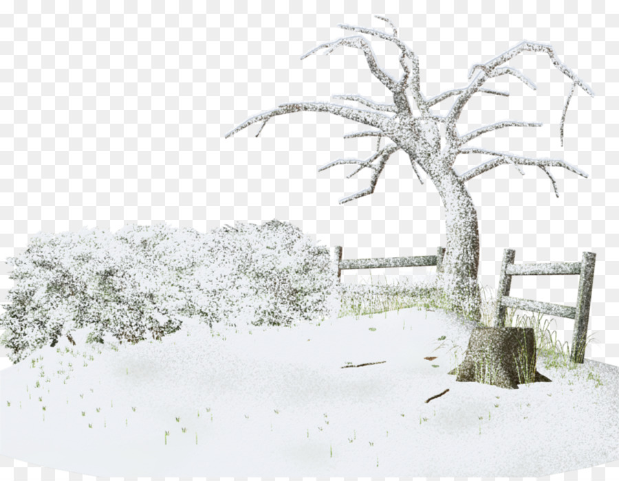 Snow Winter storm Tree - Winters png download - 1024*791 - Free Transparent Snow png Download.
