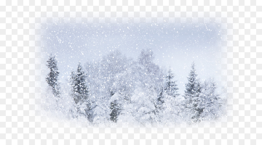 Snow Weather Winter storm Blizzard - snow png download - 800*500 - Free Transparent Snow png Download.