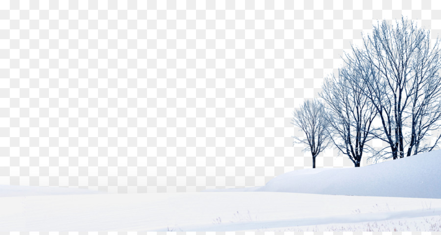 Daxue Hanlu Winter - Beautiful snow png download - 1133*595 - Free Transparent Daxue png Download.