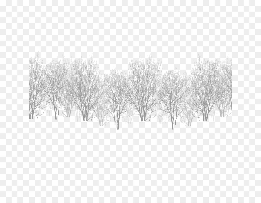 White Black Winter Sky - Winter cedar png download - 700*700 - Free Transparent White png Download.
