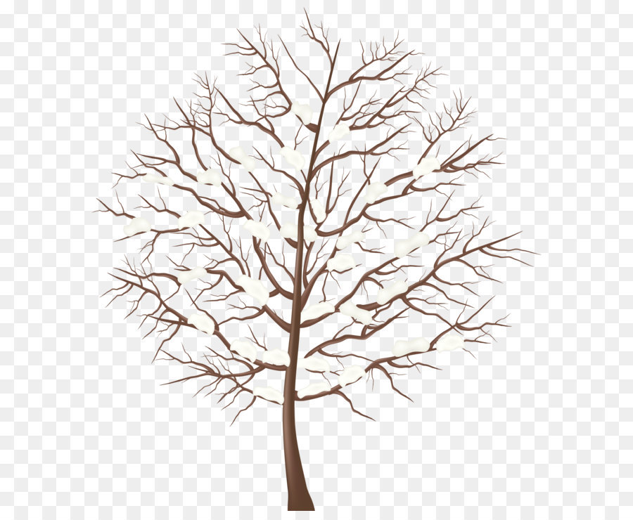 Tree Clip art - Winter Tree Transparent PNG Clip Art Image png download - 4470*5000 - Free Transparent Tree png Download.