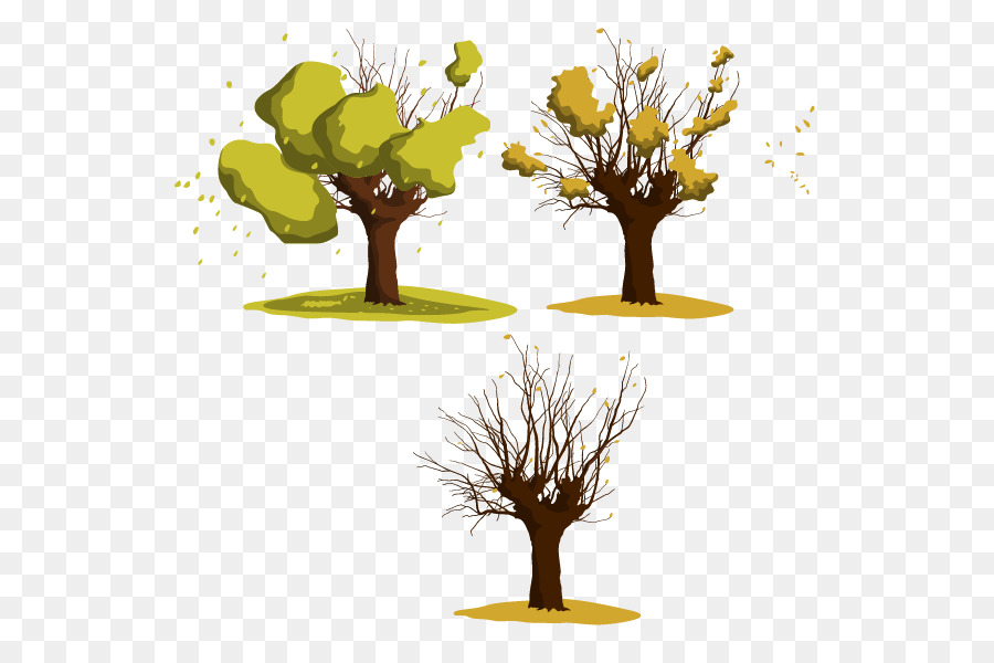 Wattles Tree Euclidean vector - Vector onset of winter the leaves fall in the process png download - 600*600 - Free Transparent Wattles png Download.