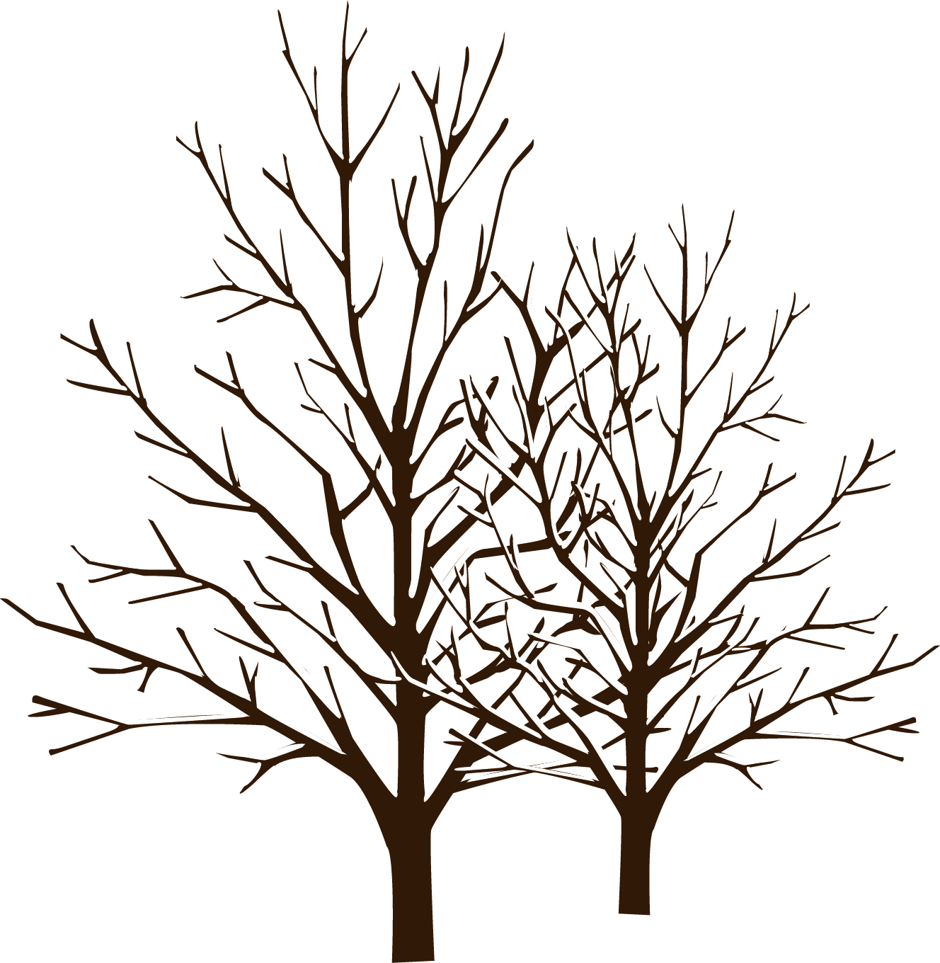 winter tree silhouette vector