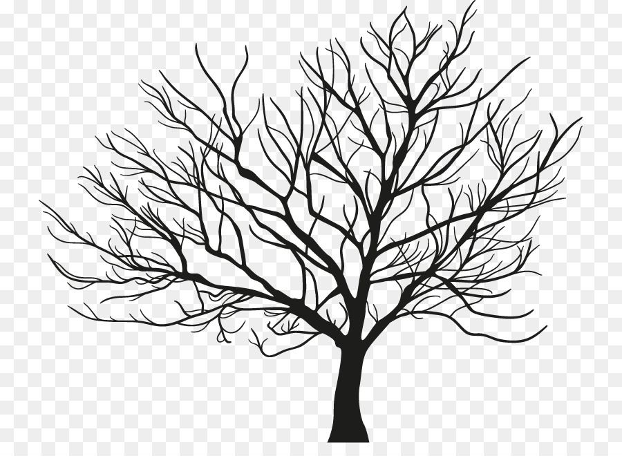 Tree Branch Winter - tree png download - 787*641 - Free Transparent Tree png Download.