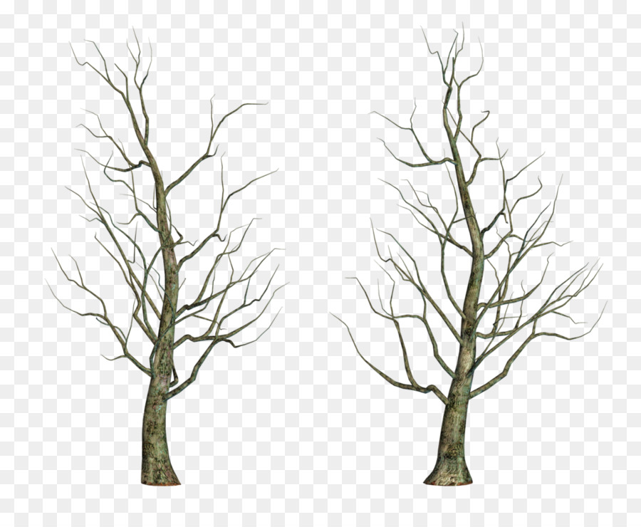 Tree Drawing Clip art - winter trees png download - 1024*825 - Free Transparent Tree png Download.