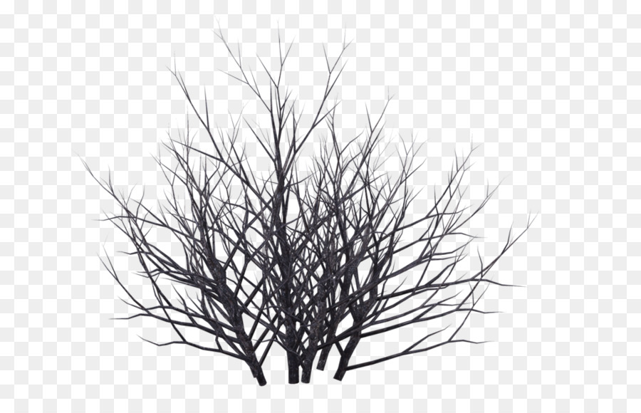 Shrub Winter Tree Drawing - snow tree png download - 1024*639 - Free Transparent Shrub png Download.
