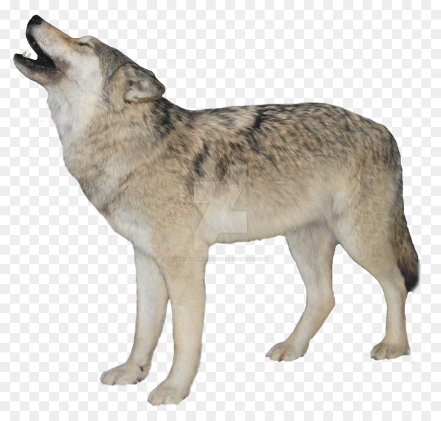 Portable Network Graphics Clip art Transparency Arctic wolf Desktop Wallpaper - wolf Art png download - 921*867 - Free Transparent Arctic Wolf png Download.