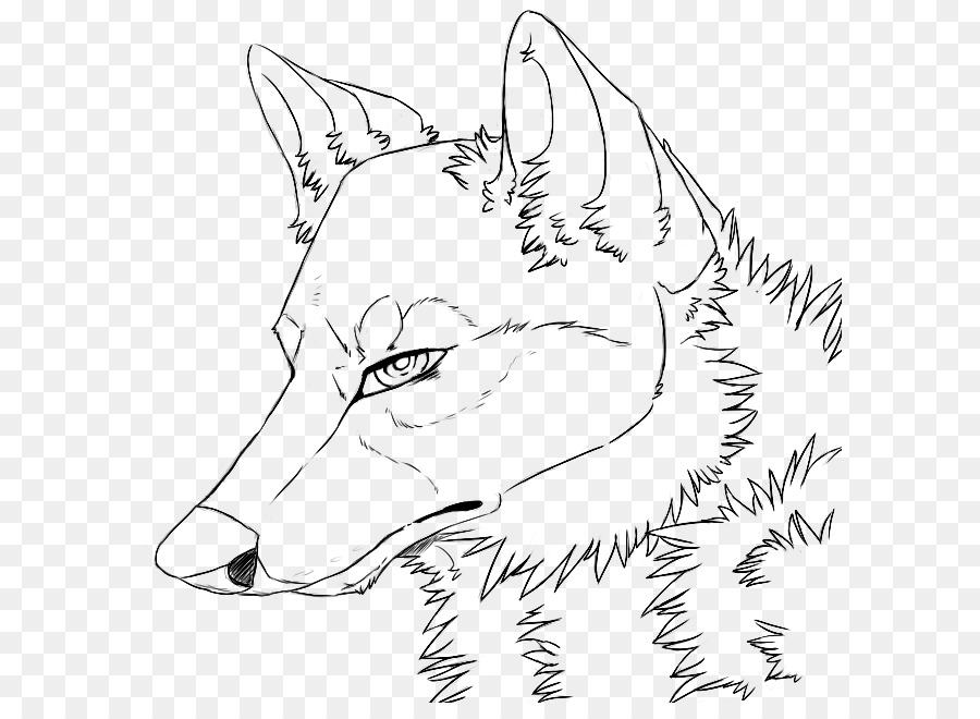 Line art Gray wolf Drawing DeviantArt Painting - painting png download - 647*645 - Free Transparent  png Download.