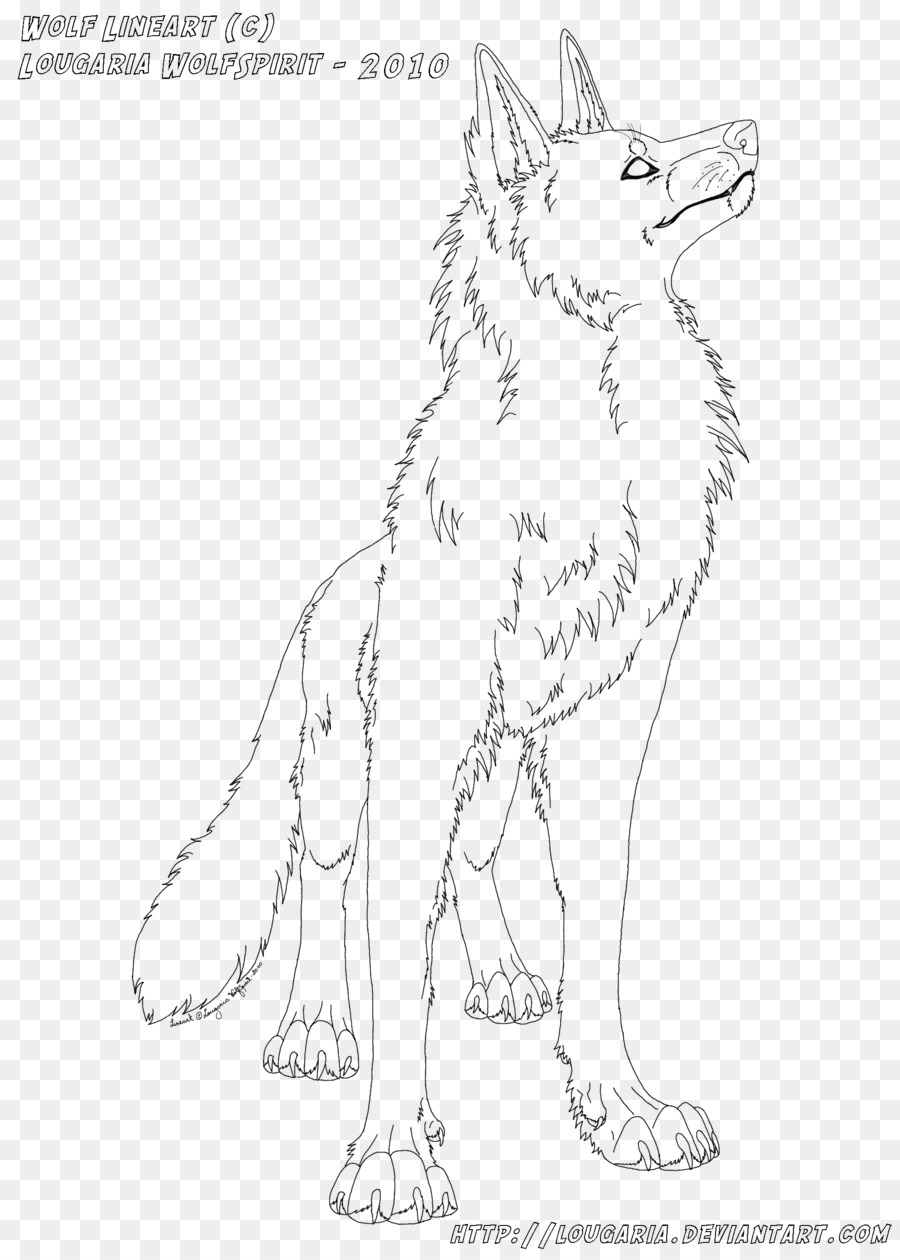 Line art Drawing Red fox Sketch - arctic wolf png download - 900*1256 - Free Transparent Line Art png Download.