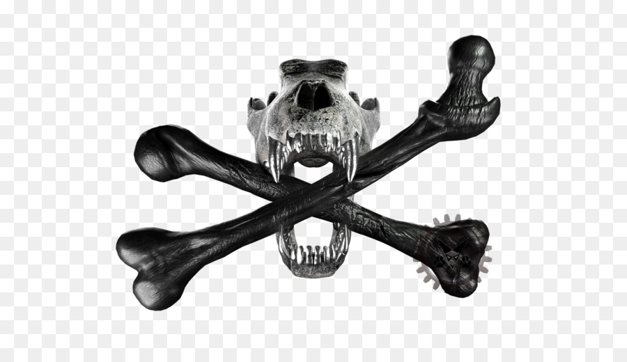 Skull and crossbones Skull and Bones Arctic wolf Black wolf - skull png download - 3840*2160 - Free Transparent Skull png Download.