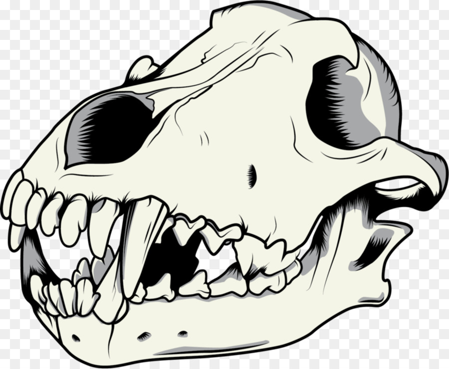 Gray wolf Drawing Skull - skeleton vector png download - 987*810 - Free Transparent Gray Wolf png Download.