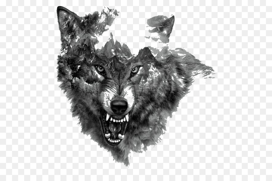 Arctic wolf Tattoo Northern Rocky Mountain wolf Flash - Painted wolf png download - 564*584 - Free Transparent  png Download.