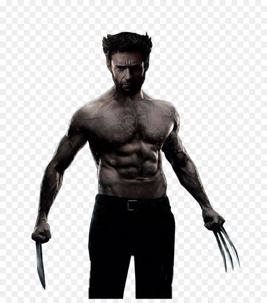 Wolverine Deadpool Silver Fox - Wolverine png download - 792*1008 - Free Transparent  png Download.