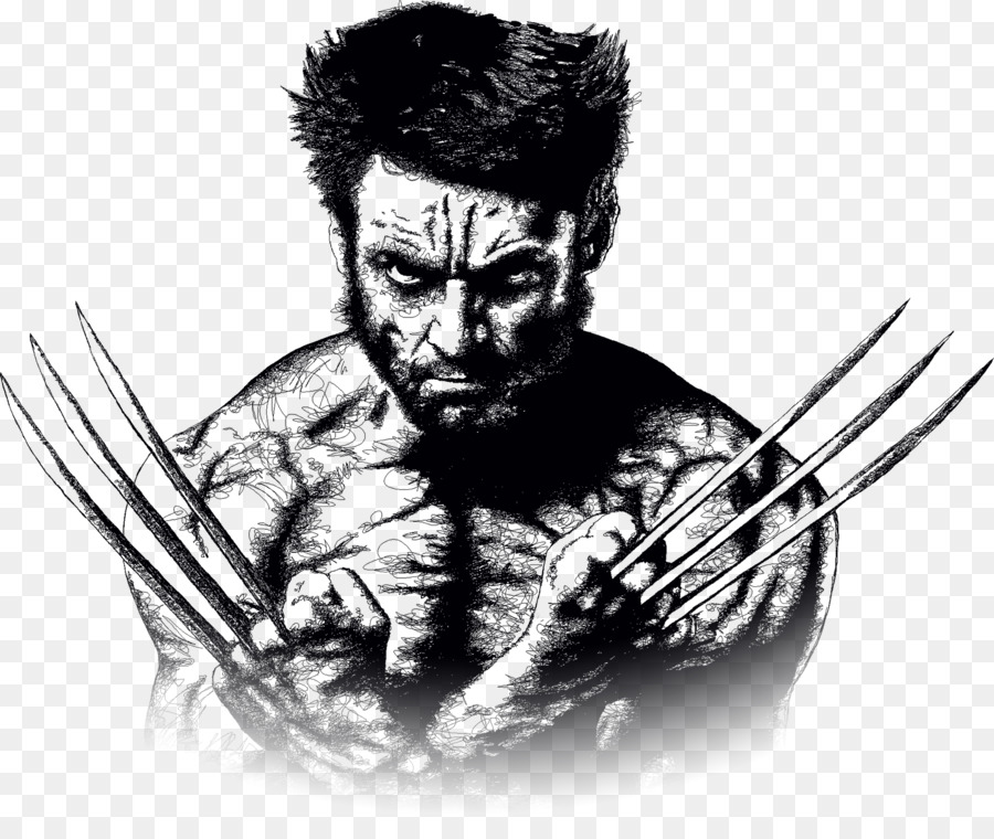 Wolverine Minerva Design Drawing - Wolverine png download - 1772*1463 - Free Transparent Wolverine png Download.