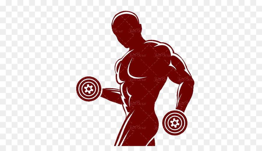 Fitness Centre Weight training Silhouette Muscle Physical fitness - Silhouette png download - 512*512 - Free Transparent Fitness Centre png Download.