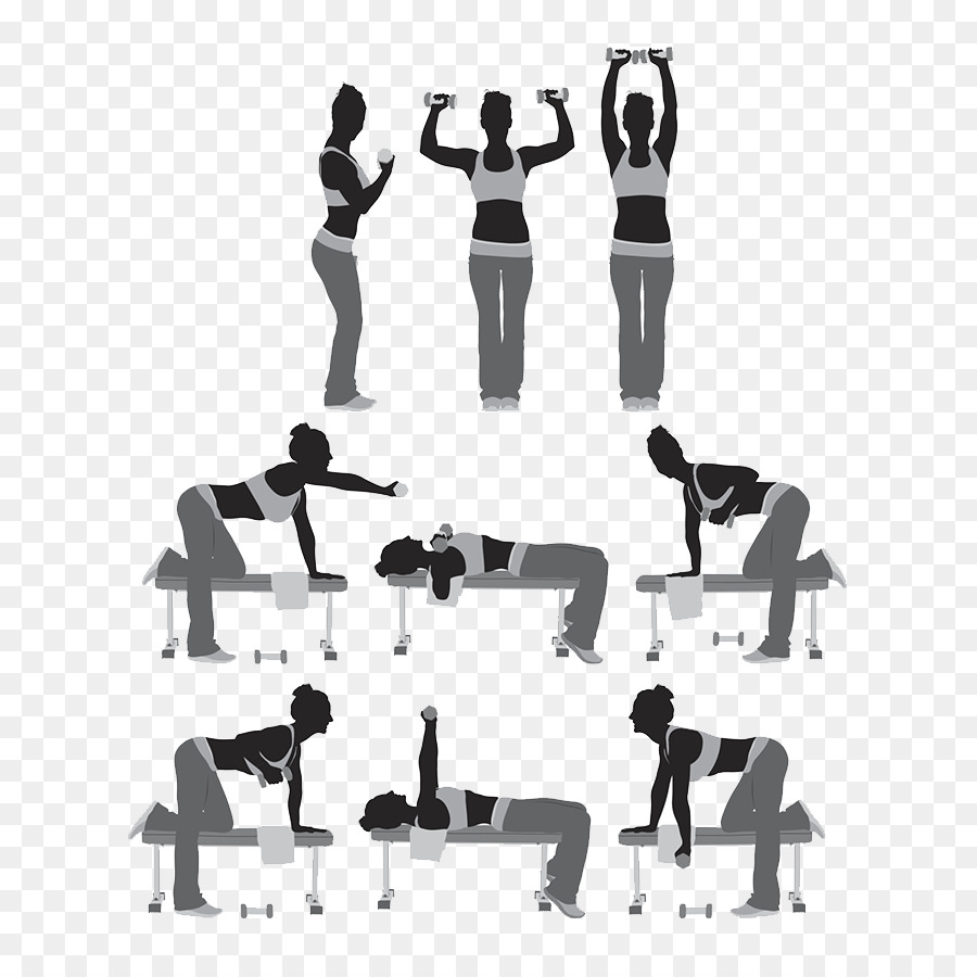 Silhouette Wellness SA Weight training Illustration - Fitness Silhouettes png download - 664*888 - Free Transparent Silhouette png Download.
