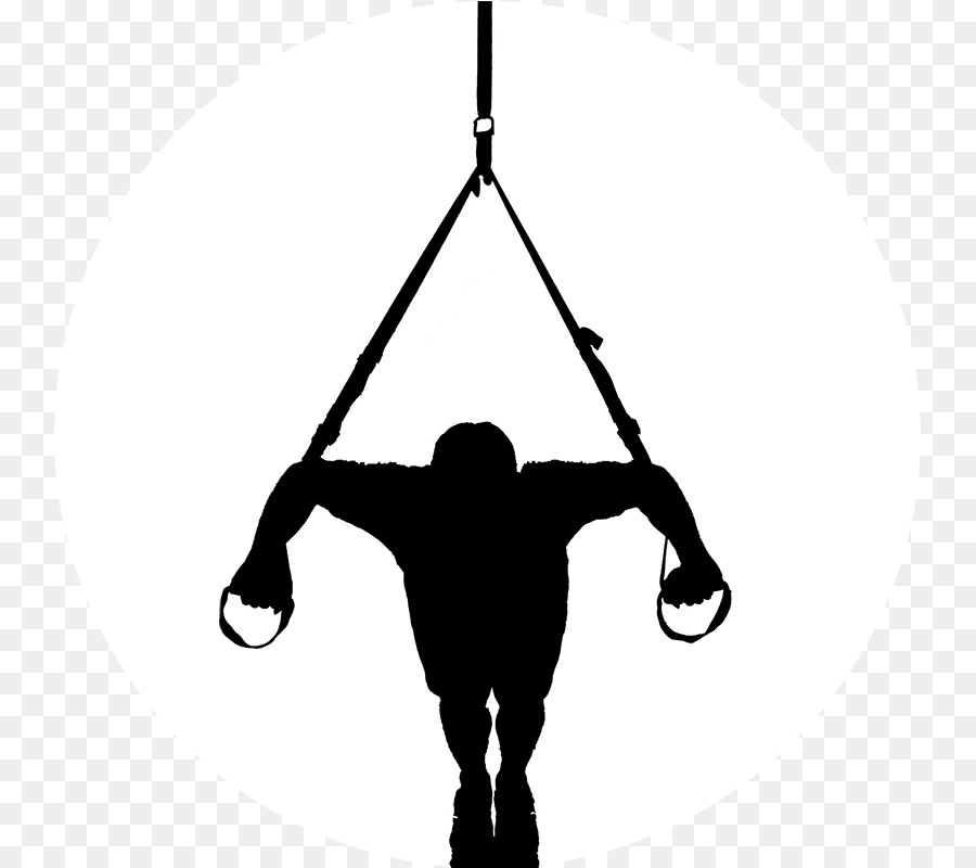 Suspension training Personal trainer Functional training Exercise - others png download - 800*800 - Free Transparent Suspension Training png Download.
