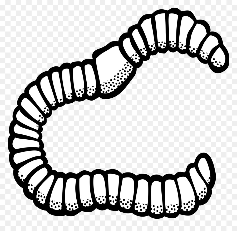 Earthworm Clip art - others png download - 2400*2301 - Free Transparent Worm png Download.