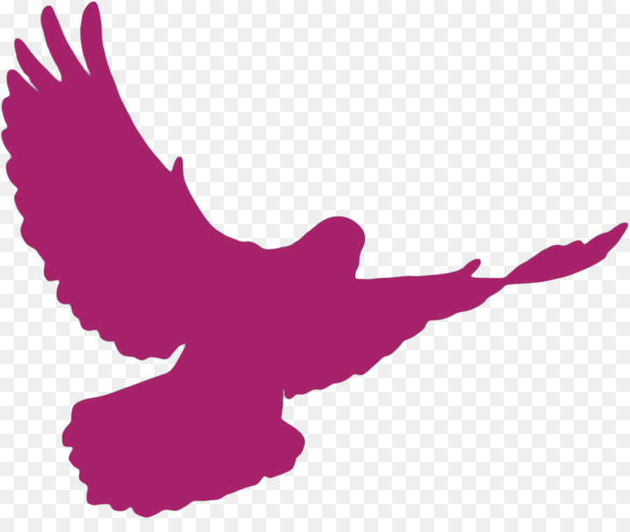 Columbidae Doves as symbols Silhouette - WORSHIP png download - 1141*939 - Free Transparent Columbidae png Download.