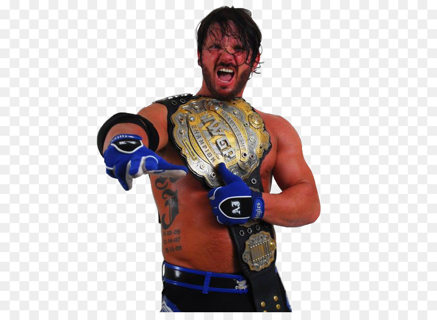 A.J. Styles World Heavyweight Championship New Japan Pro-Wrestling IWGP Heavyweight Championship Professional wrestling - AJ Styles Transparent Background png download - 528*644 - Free Transparent  png Download.