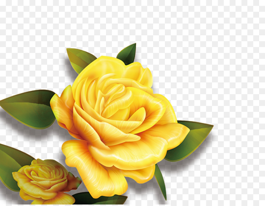 Rose Yellow Flower High-definition television Wallpaper - rose png download - 1200*926 - Free Transparent Rose png Download.