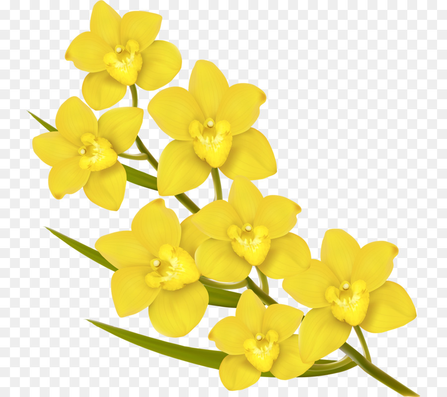 Flower Euclidean vector Royalty-free Yellow - Six yellow flowers png download - 793*800 - Free Transparent Flower png Download.