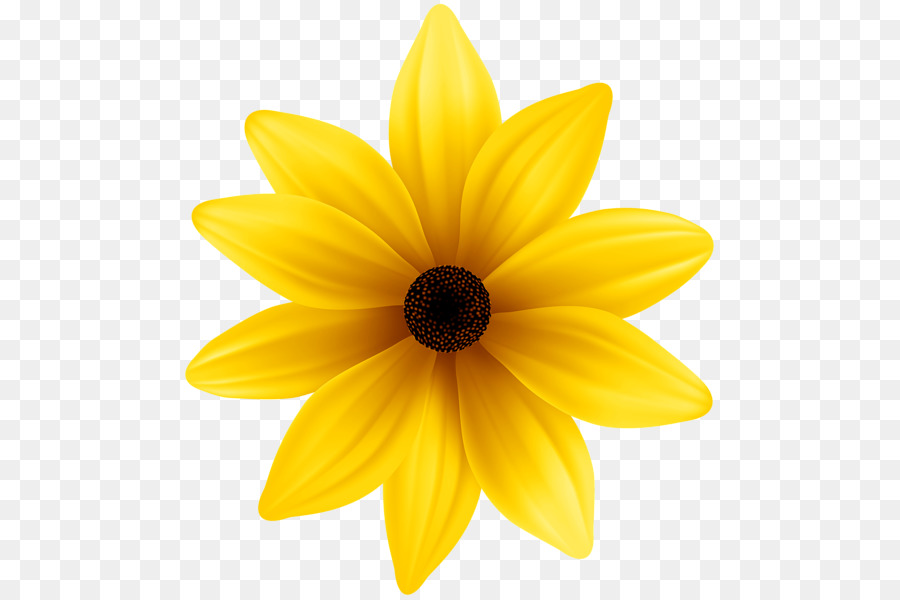 Flower Yellow Blue Clip art - yellow flowers png download - 538*600 - Free Transparent Flower png Download.