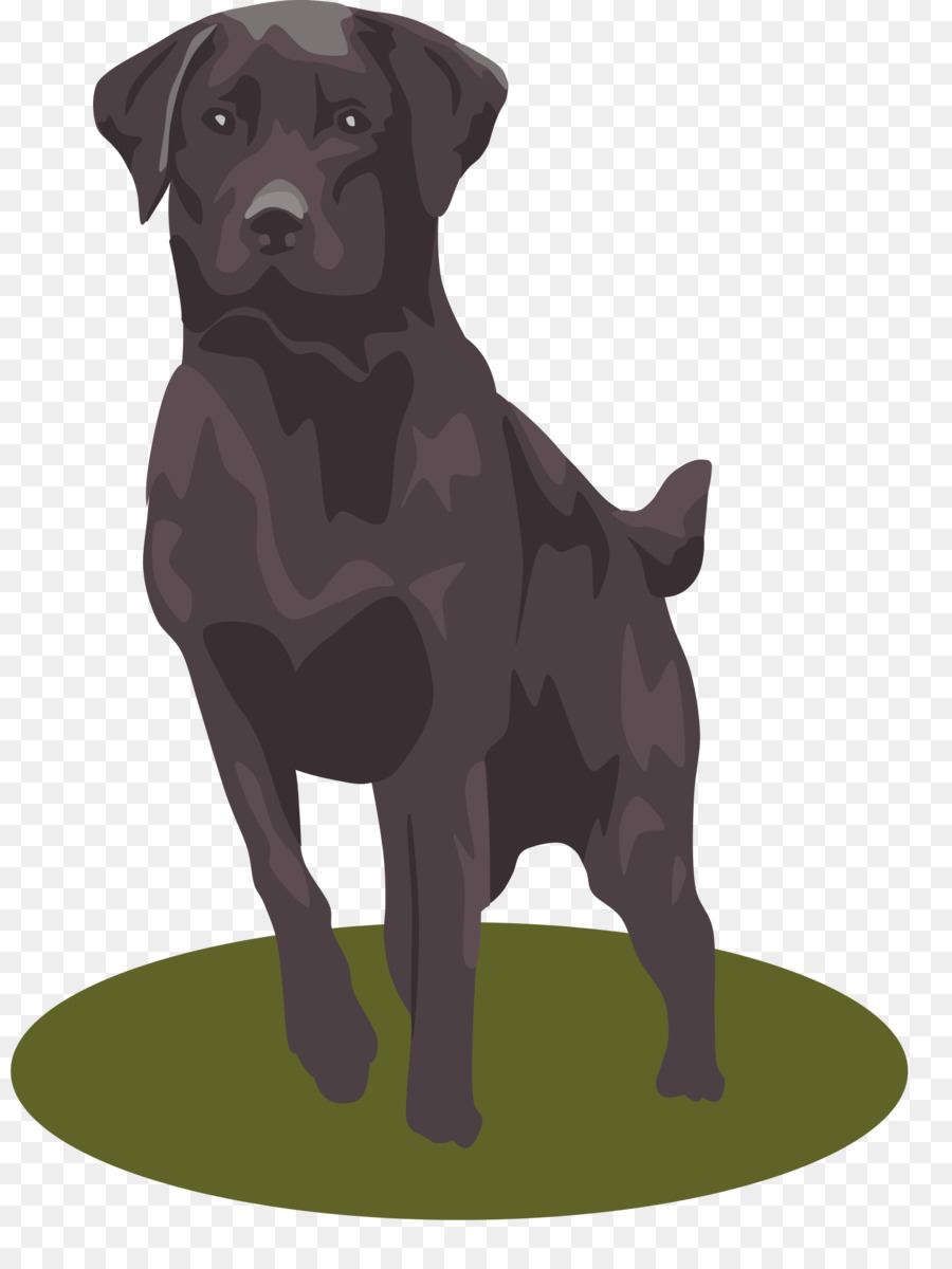 Labrador Retriever Clip art - dogs png download - 1809*2400 - Free Transparent Labrador Retriever png Download.