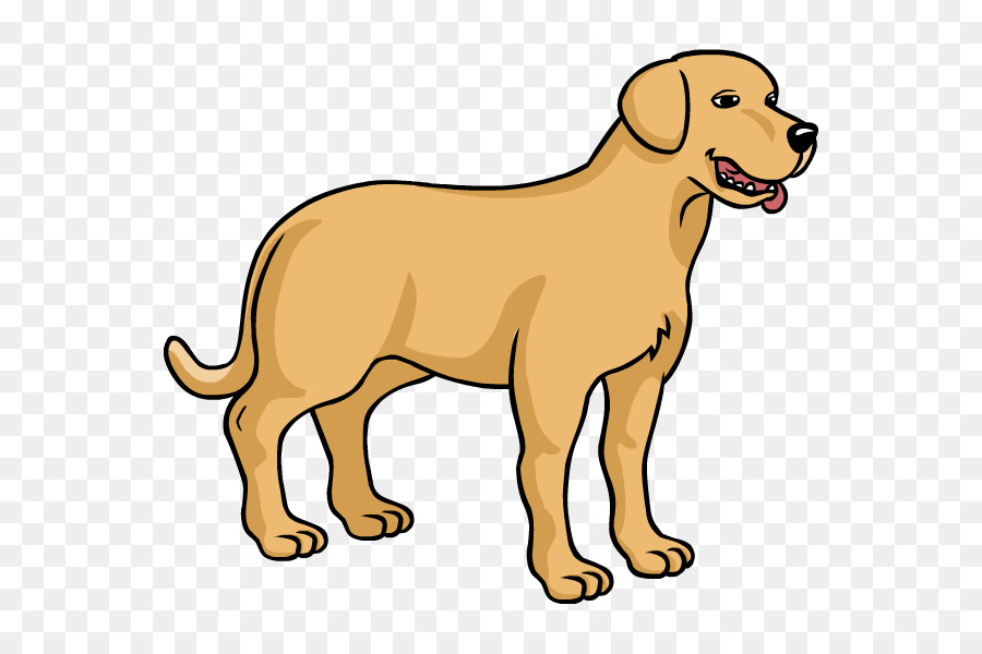 Dog breed Puppy Labrador Retriever Como Dibujar: UNA GUÍA DE TÉCNICAS FÁCILES PARA APRENDER A DIBUJAR - puppy png download - 600*600 - Free Transparent Dog Breed png Download.