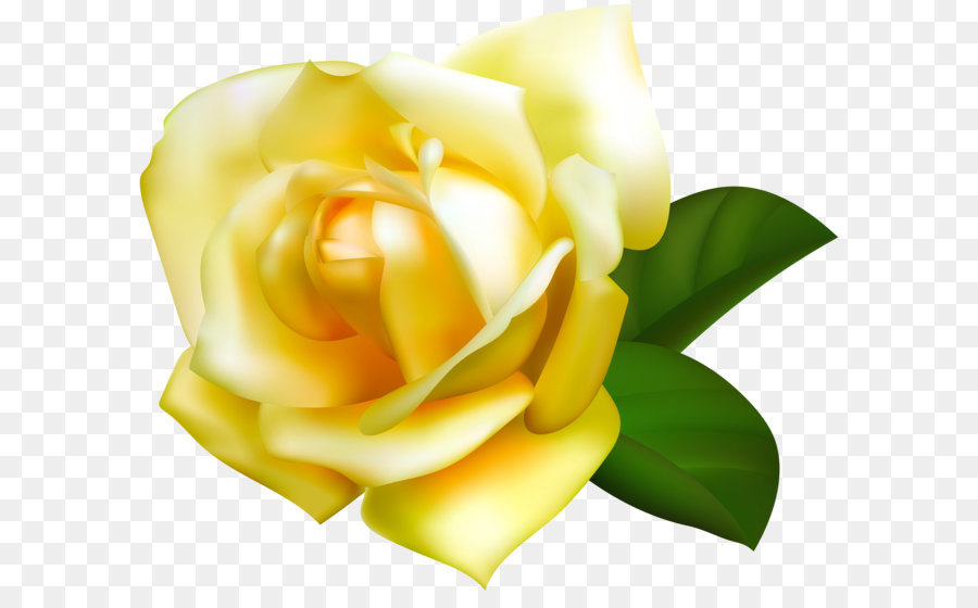 Image file formats Raster graphics Computer file - Yellow Rose Transparent PNG Image png download - 6000*5047 - Free Transparent Yellow png Download.
