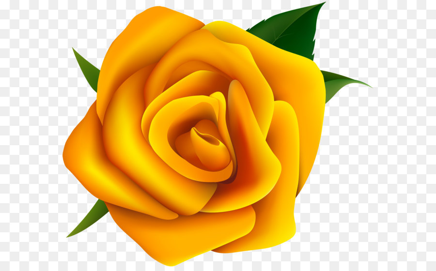 Rose Yellow Clip art - Yellow Rose Clipart PNG Image png download - 6282*5350 - Free Transparent Rose png Download.