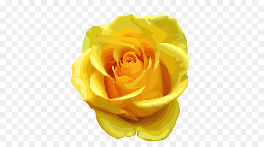 Rose Yellow Clip art - Yellow Rose PNG Transparent Image png download - 750*500 - Free Transparent Rose png Download.