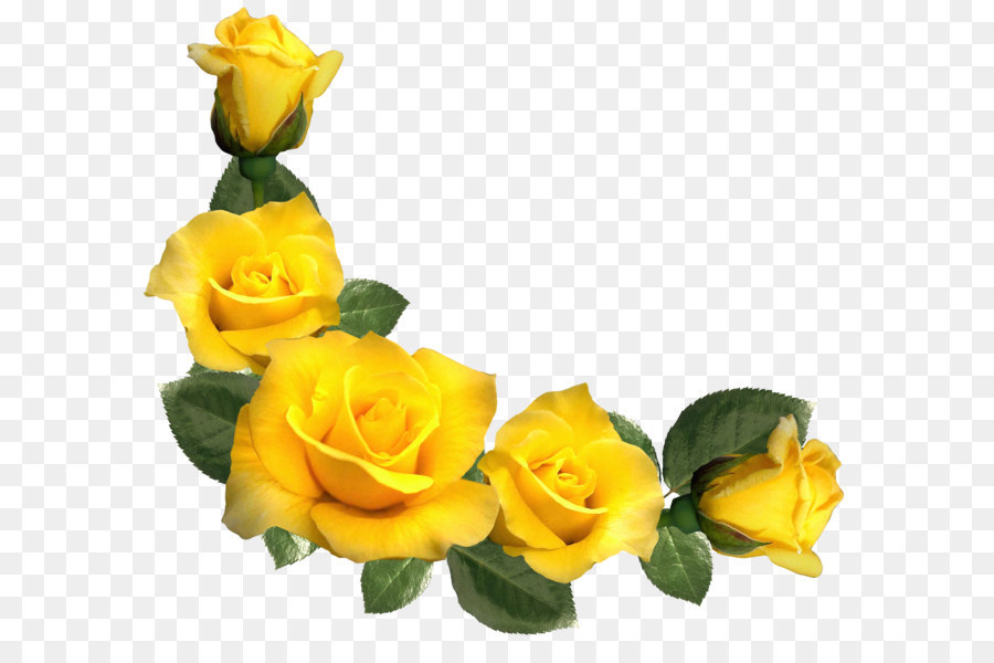 Rose Yellow Clip art - Beautiful Yellow Roses Decor PNG Clipart Image png download - 3275*2945 - Free Transparent Rose png Download.