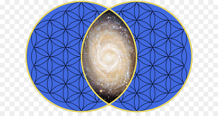 Vesica piscis Sacred geometry Symmetry Urinary bladder - made for each other png download - 700*468 - Free Transparent Vesica Piscis png Download.