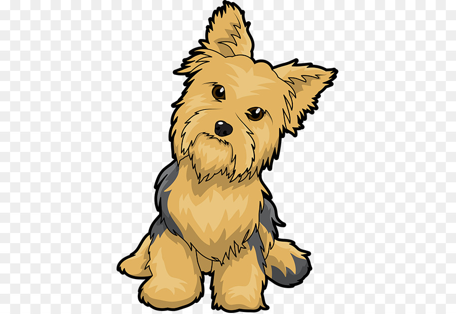 Yorkshire Terrier Puppy Maltese dog English Toy Terrier Clip art - puppy png download - 618*618 - Free Transparent Yorkshire Terrier png Download.