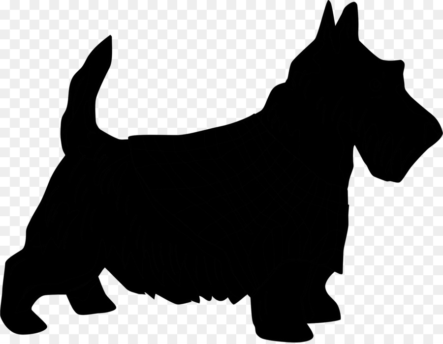 Scottish Terrier Yorkshire Terrier West Highland White Terrier Sealyham Terrier -  png download - 2268*1757 - Free Transparent Scottish Terrier png Download.