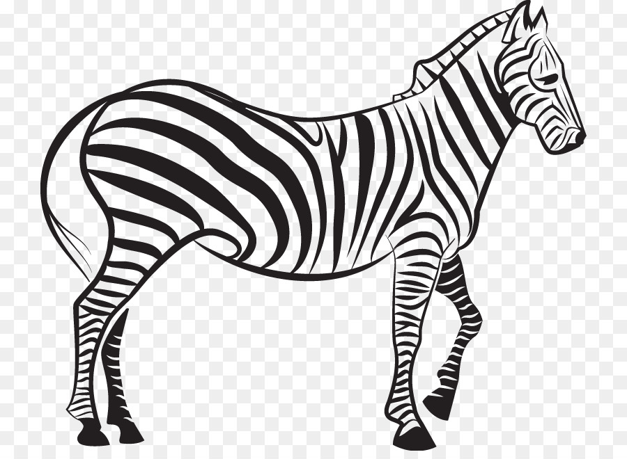 Zebra Euclidean vector Illustration - zebra png download - 784*648 - Free Transparent Zebra png Download.